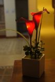 LED Lighting Flower