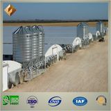 Prefab Steel Structure Broiler Shed/Poultry House