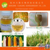 Highly Effective Herbicides Carfentrazone-Ethyl (95%TC, 10%WP, 40%WDG)