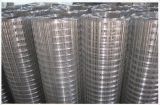 High Quality Reinforce Welded Wire Mesh