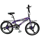 Freestyle Bicycle (FB-010)