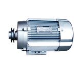 Explosion Proof Motor