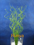 Artificial Flower-Bamboo Sticks (RY10067)