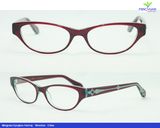 Newest Eye Cat Optical Frame Acetate Frame Eyewear (AC004)