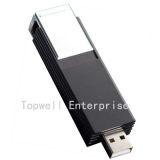 Plastic USB Flash Disk (TW-100C)