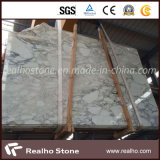 Top Polished Arabescato White Marble From China