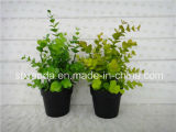 Artificial Plastic Potted Flower (XD15-367B)