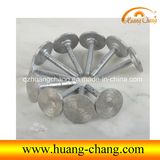 Diamond Bit Tools for Carving Stone