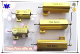 Rx24 Aluminum Resistor with ISO9001
