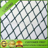 High Quality Agriculture Anti Bird Netting