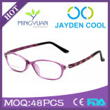 2015 Colorful Tr90 Spectacle Glasses Latest Fashion Eyewear