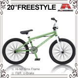 High Quality Freeastyle Bicycle (ABS-2026S-2)