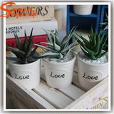 Decoration Artificial Zebra Succulent Aloe Plant