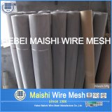 Excellent 304 Stainless Steel Wire Cloth