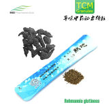 Traditional Chinese Medicine, Rehmannia Glutinosa Granules