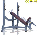 Incline Bench/Indoor Fitness Equipment/Body Building Equipment