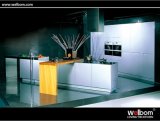 Modern Style Lacquer Kitchen Cabinet Design