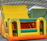 Inflatable Happy Slide with Roof (BMSL239)