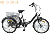 LiFePO4 Battery Electric Tricycle (SL-009)