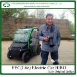 Low Speed Electric Vehicle Smart Car