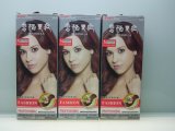 Temporary Hair Dye of Salon Products (X001)