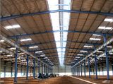 Professional Steel Structure Building