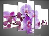 Modern Home Decor Beautiful Flower Painting (FL5-045)