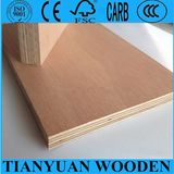 4mm/5mm/6mm, 1220*2440mm Okoume/Bintangor/Packing Commercial Plywood