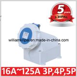 IP67 32A 2p+E 230V Wall-Mounted Cee Outlet