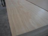 Large Size High Quality Fancy Plywood (2000*6000mm) for Furniture Use
