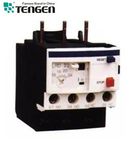 Thermal Relay (LR2-K Series)