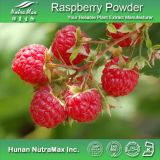Top Quality Pure Raspberry Fruit Powder