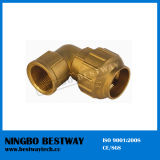 Hot Sale Compression Fitting (BW-305)