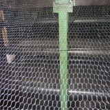 Hexagonal Wire Netting Direct Factory