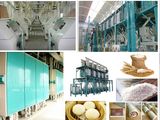 5-500 Mt Per Day Wheat/Corn Flour Mill Machinery