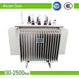 Hot Selling Three Phase Oil Immersed Transformer 10kv
