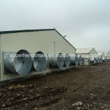 Full Set High Quality Prefab Steel Structure Poultry House for Sale