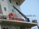 Single Arm Davit for Rescue Boat Launching