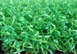 Nylon Grass Turf for Golf Court with PE Materials Curl Piles (NIK-15SSNL)