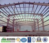 Single/Large Span Steel Building for Prduce