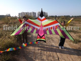 Promotional Bird Kite with 100meters Nylon Line