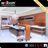 Modern Lacquer Custom Kitchen Cabinet