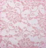 Garment Accories Nylon African Chemical Fabric Lace (2146)