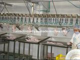 Poultry Processing Equipment