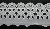 Embroidery Lace (c10246)