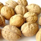 Walnuts