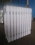 Cast Iron Radiator (TZY2-600)