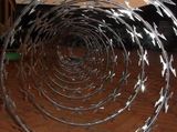 Concertina Razor Wire/Concertina Wire/Razor Barbed Wire Mesh