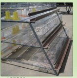 Layers Broiler Cage