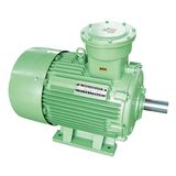 Motor, AC Motor, Induction Motor, Explosion-Proof Motor